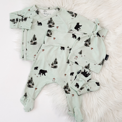 Color – Black Bears