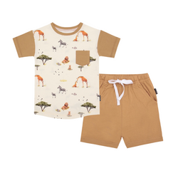 Safari