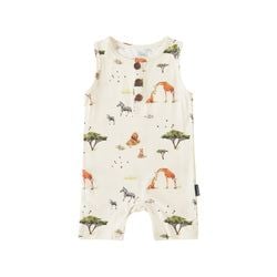Pattern / Color – Safari