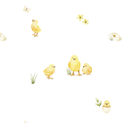 Printed Collection – Chicks