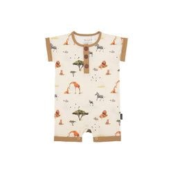 Pattern / Color – Safari