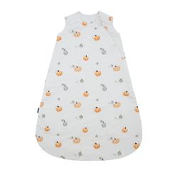 Printed Collection – Pumpkin