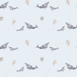Color – Blue Whales