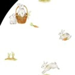Prints – Garden Bunnies