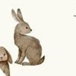 Core Collection – Bunnies