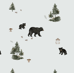 Core Collection – Black Bears