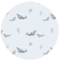 Blue Whales