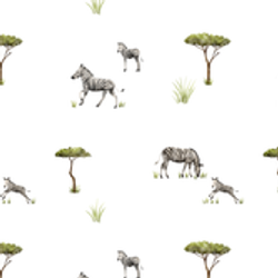 Pattern – Zebras