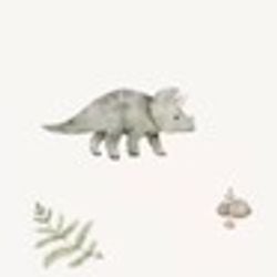 Core Collection – Dinoland