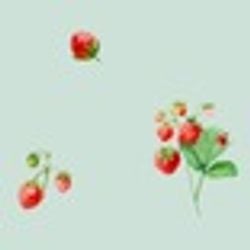Prints – Strawberry Garden