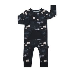 Pattern / Color – Polar Bears