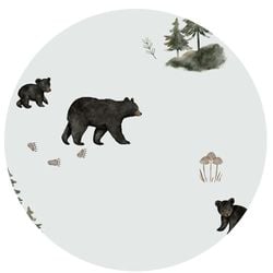 Color – Black Bears