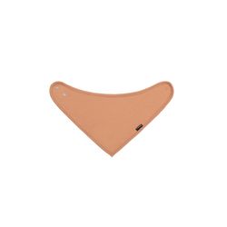 Color – Carrot