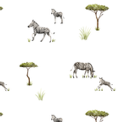 Pattern / Color – Zebras
