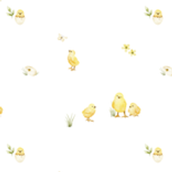 Printed Collection – Chicks