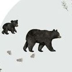 Core Collection – Black Bears