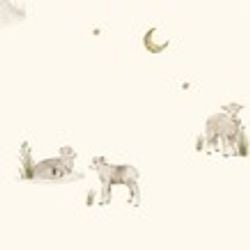 Prints – Little Lambs