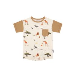 Safari / Desert