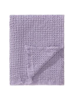 Color – Purple