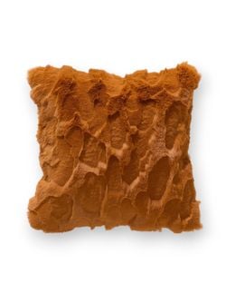 Color – Orange