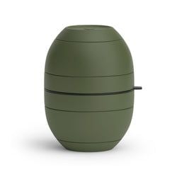 Type – Sage Green