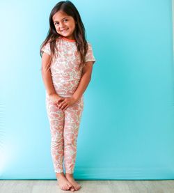 Print – Paisley