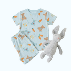 Print – Carrot Crew