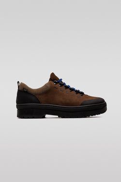 Color – Brown