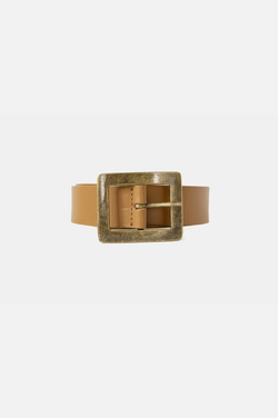 Color – Camel