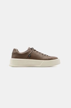 Color – Brown