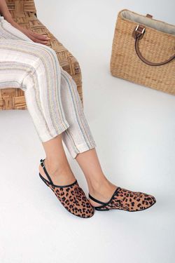 LEOPAR