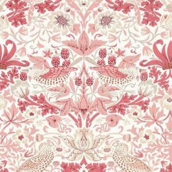 Color – Madder