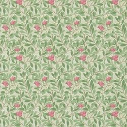 Color – Olive/Pink