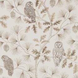 Color – Linen