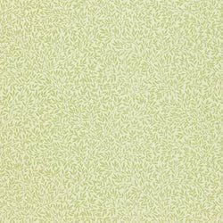 Color – Fennel