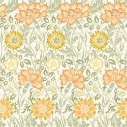 Color – Apricot Orange
