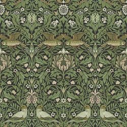 Color – Black / Green
