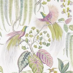 Color – Orchid