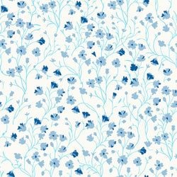 Color – Light Blue