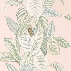Color – Orchid/Eucalyptus