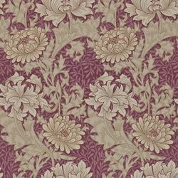 Color – Wine