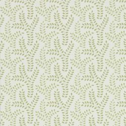 Color – Moss