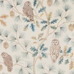 Color – Teal