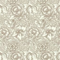 Color – Cream/Chocolate