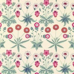Color – Cream