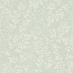 Color – Celadon