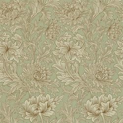 Color – Eggshell/Gold