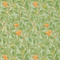 Color – Green/Terracotta