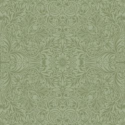 Color – Green / White