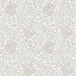 Color – White Beige
